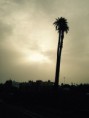 OASIS I